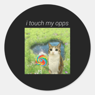 Funny Meowl Meme, Cat Owl Meme Brainrot Gen Alpha  Classic Round Sticker
