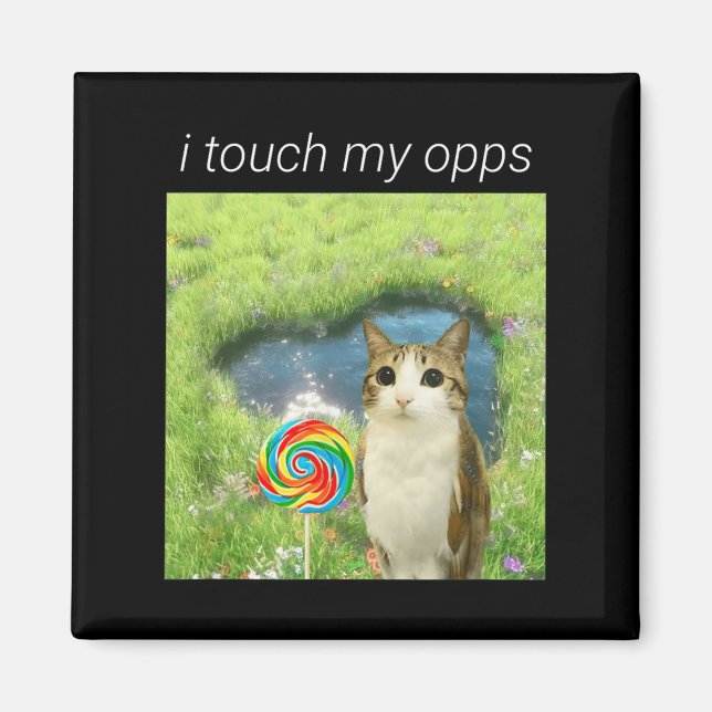 Funny Meowl Meme, Cat Owl Meme Brainrot Gen Alpha  Magnet (Front)