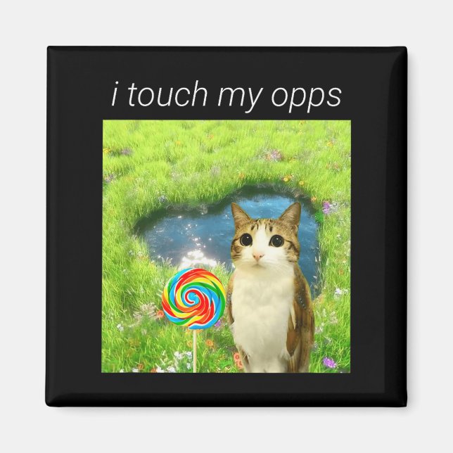 Funny Meowl Meme, Cat Owl Meme Brainrot Gen Alpha  Magnet (Front)