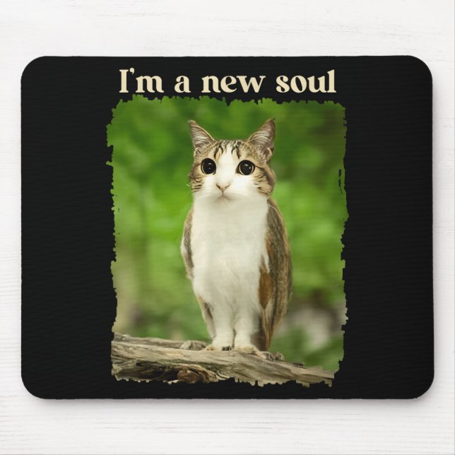 Funny Meowl Meme, Cat Owl Meme Brainrot Gen Alpha  Mouse Pad (Front)