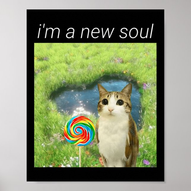 Funny Meowl Meme, Cat Owl Meme Brainrot Gen Alpha  Poster (Front)