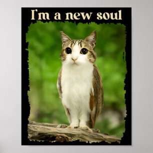 Funny Meowl Meme, Cat Owl Meme Brainrot Gen Alpha  Poster