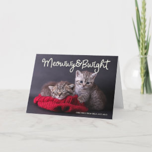 Funny Meowwy and Bwight Holiday   Photo Greeting