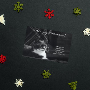 Funny Meowy Cat Mess Christmas Holiday Card