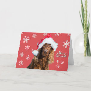 Funny Merry Christmas Dog in Santa's Hat Holiday Card