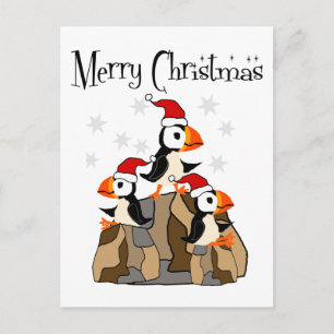 Funny Merry Christmas Puffin Birds and Snow Postcard