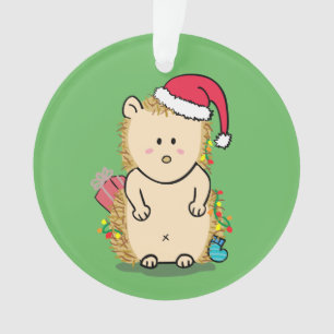 Funny Messy Merry Christmas Hedgehog Kids Room Ornament