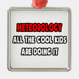 Funny Meteorologist Shirts and Gifts Metal Ornament