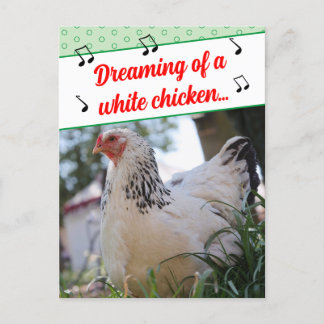 Funny Misheard Song Lyrics White Chickens Photo Holiday Postcard