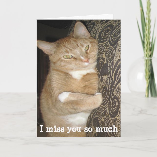 Funny missing you greeting card cat hug (Front)
