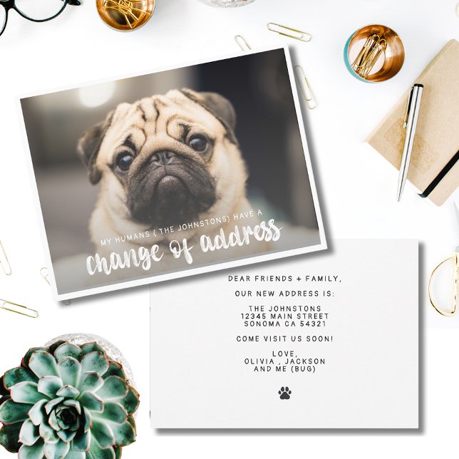 Funny Modern Change of Address Pet Dog Photo  Card (Creator Uploaded)