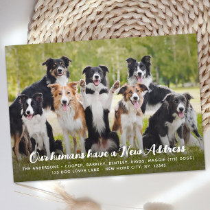 Funny Modern New Address Custom Pet Dog Photo Announcement