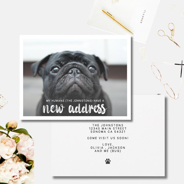 Funny Modern New Address Pet Dog Photo  Card (Creator Uploaded)