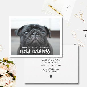 Funny Modern New Address Pet Dog Photo  Card