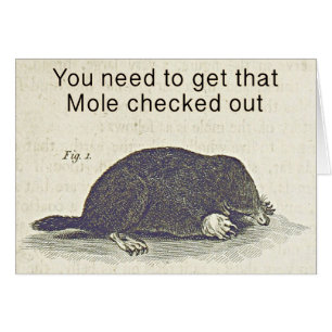 Funny Mole Greetings Card, Animal Birthday Humour