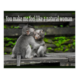 Funny Monkey Ape Gorilla Nemes with Funny Sayings Poster