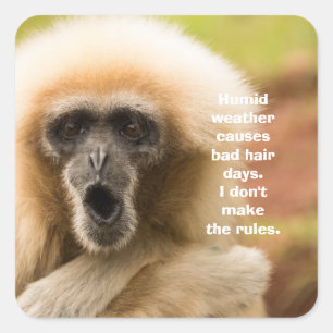 Funny Monkey Bad Hair Day Square Sticker