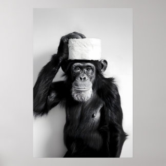 Funny Monkey Bathroom Print Vintage Animal Photo