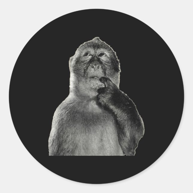 Funny Monkey Meme With Retro Odore Humor Art Style Classic Round Sticker (Front)