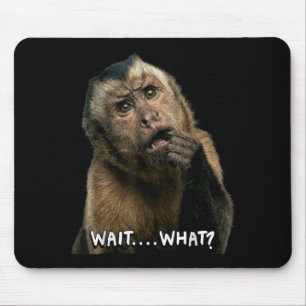 Funny monkey slang quote wait what meme cute mouse pad