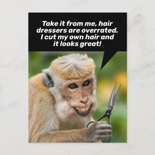Funny Monkey With a Bad Hair Cut-Shelter In Place Postcard (Front)