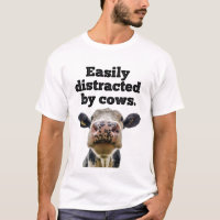 Funny Moo Cow Dairy Easily Distracted by Cows