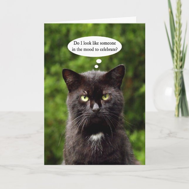 Funny Moody Black Cat birthday card (Front)