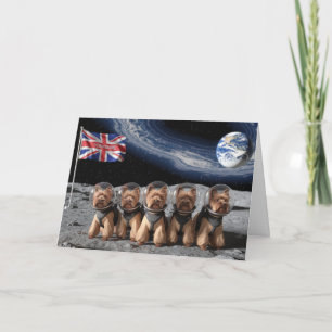 Funny Moon Yorkies Card