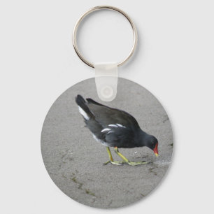 Funny Moorhen Take a Bow Keychain
