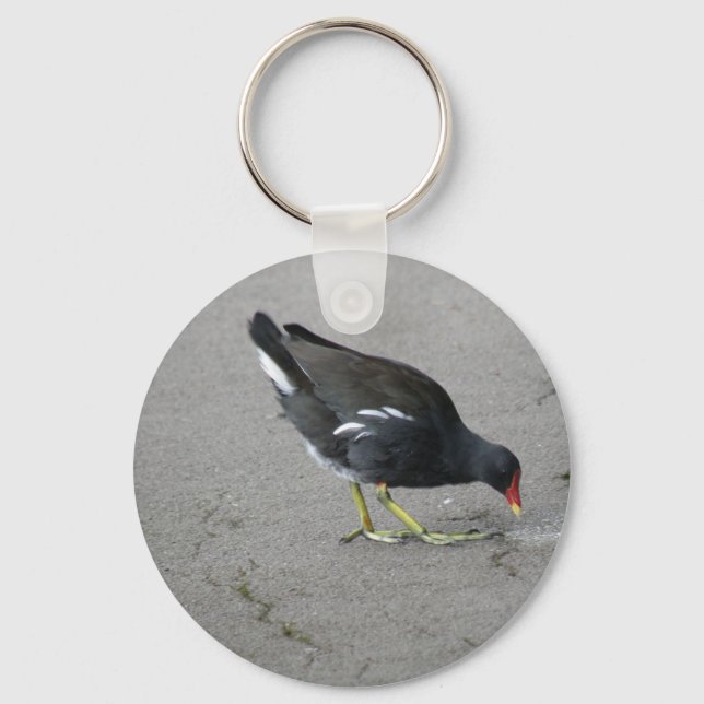 Funny Moorhen Take a Bow Keychain (Front)