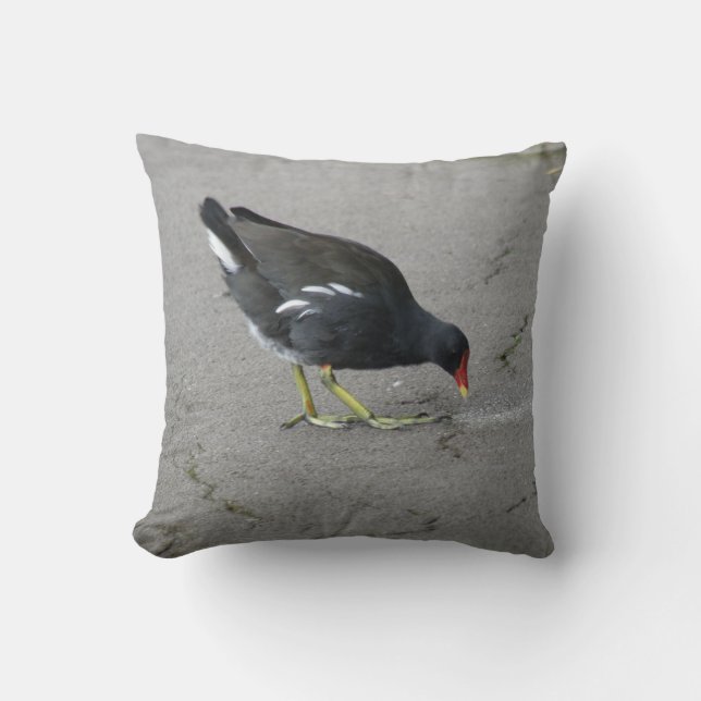 Funny Moorhen Take a Bow Pillow (Front)