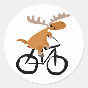 animals riding bikes