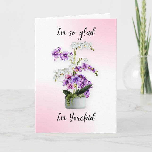 funny mother's day card birthday card motherhood (Front)