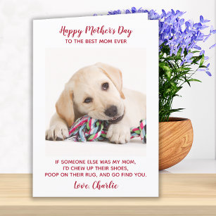 Funny Mothers Day Personalised Dog Mum Pet Photo Holiday Card