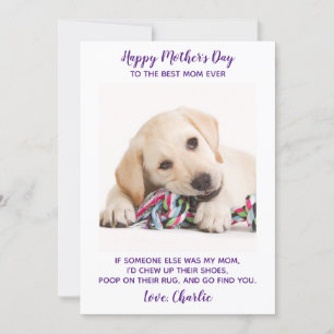 Funny Mothers Day Personalised Pet Photo Dog Mum Holiday Card