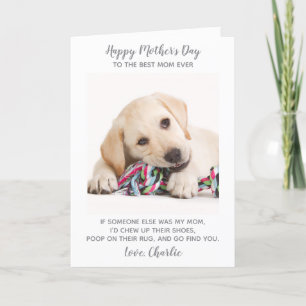 Funny Mothers Day Personalized Pet Photo Dog Mom Holiday Card