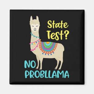 Funny Motivational State Test Day For Students Magnet