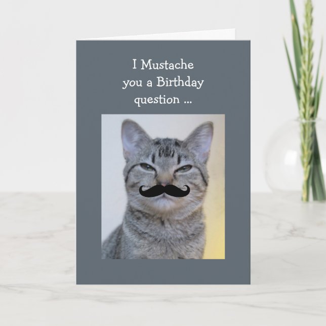 Funny  Moustache Question Birthday Cat Card (Front)