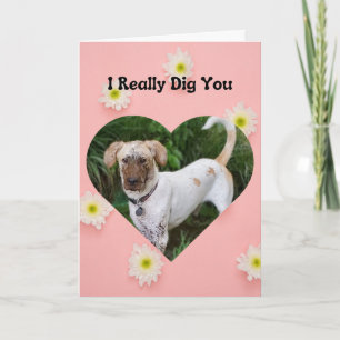 Funny Muddy Dog I Really Dig You Valentine Card