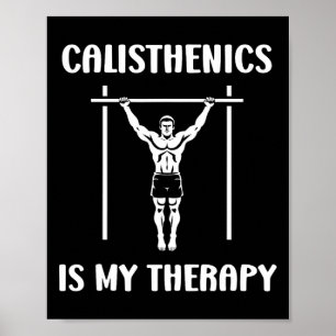 Funny Muscu Streetworkout Sport Workout Simple Cal Poster