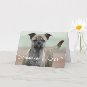 Funny Mutt Mixed Breed Dog Photo Happy Birthday Card
