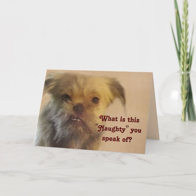 Funny Mutt Naughty Question Dog Photo Christmas Holiday Card (Front)