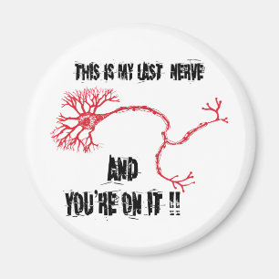 Funny My Last Nerve Magnet