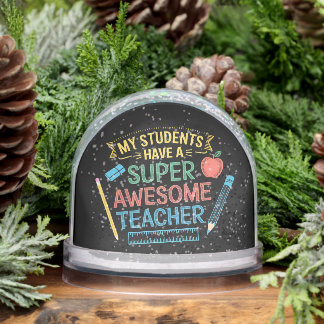 Funny My Students Have A Super Awesome Teacher Snowglobe