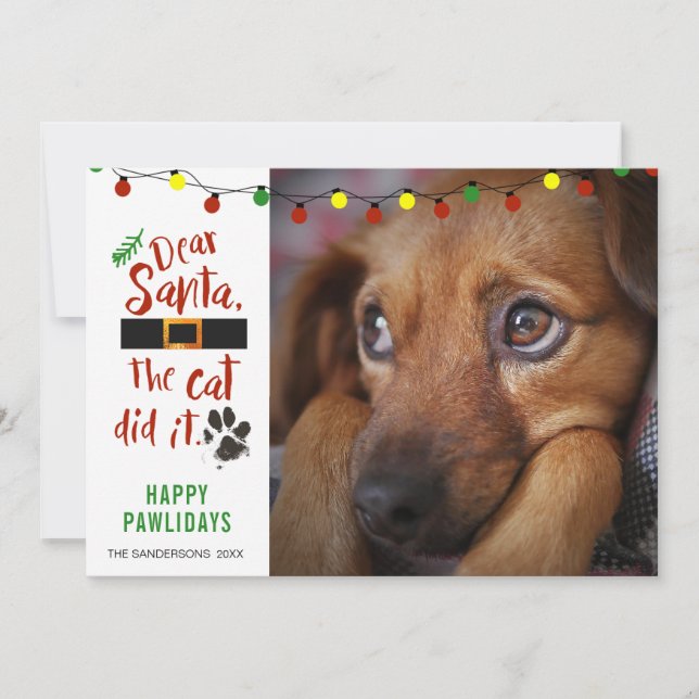 Funny Naughty Dog Photo DEAR SANTA THE CAT DID IT Holiday Card (Front)
