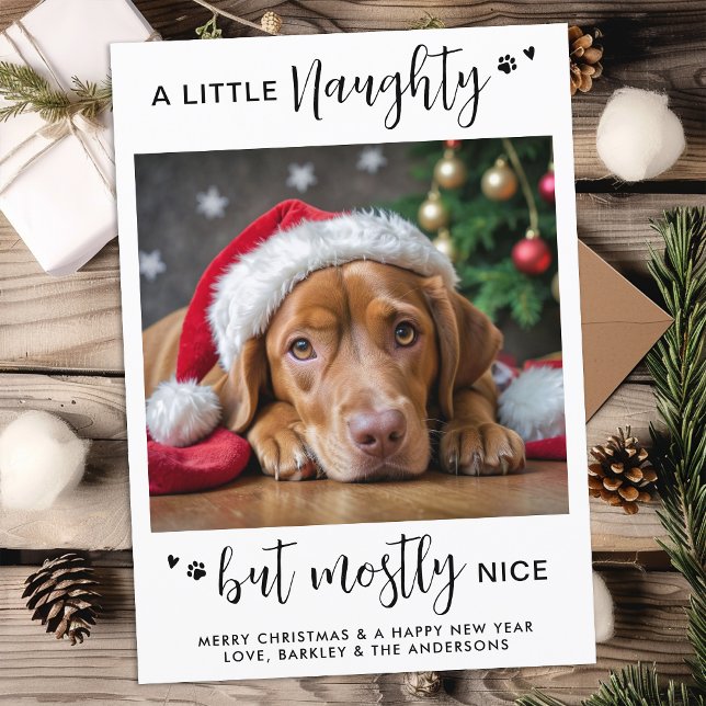 Funny Naughty Nice Personalised Cute Dog Pet Photo Holiday Card (Creator Uploaded)