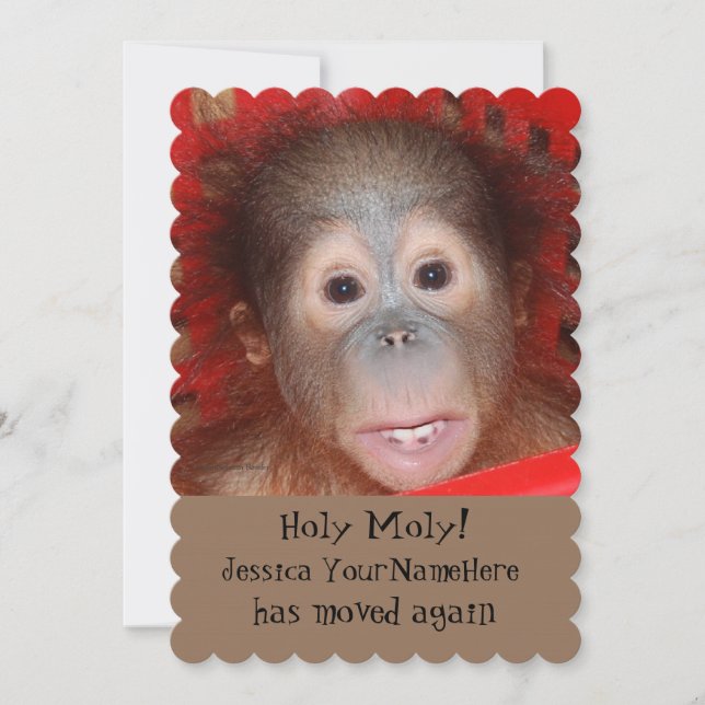 Funny New Address Animal Baby Announcement (Front)