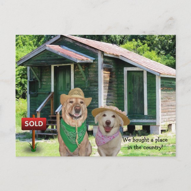 Funny New Address/Place in the Country Postcard (Front)