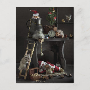 Funny New Year's still-life with hamsters Holiday Postcard
