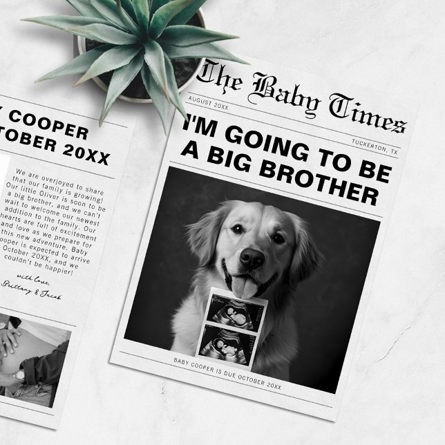 Funny Newspaper Pet Pregnancy Announcement (Creator Uploaded)
